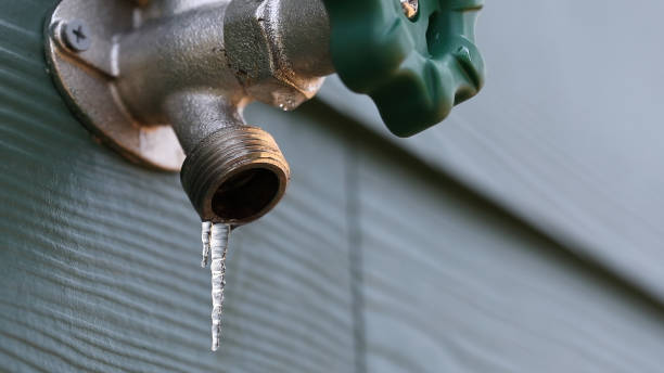 Best Faucet Repair  in Jan Phyl Village, FL